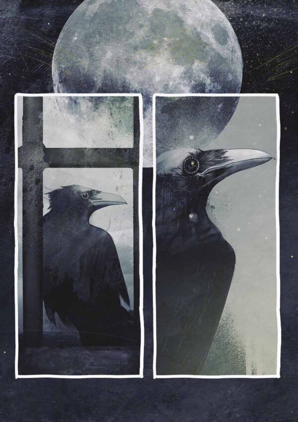 The Black Cat - Image 2