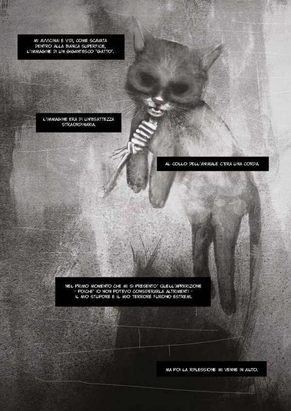The Black Cat - Image 4